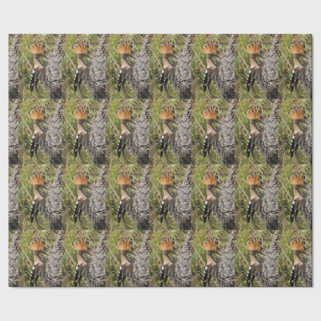 Hoopoe Matande Nestling Presentpapper (Seam)
