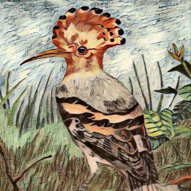 Hoopoe Poster (Skapare uppladdad)