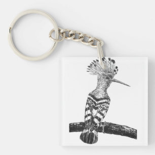 Hoopoe teckning