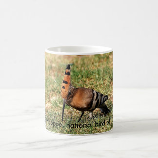 Hoopoen, medborgarefågel av Israel, kaffemugg