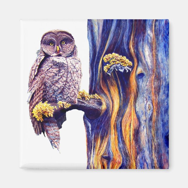 Hoo's Titta i Magnet (Framsidan)