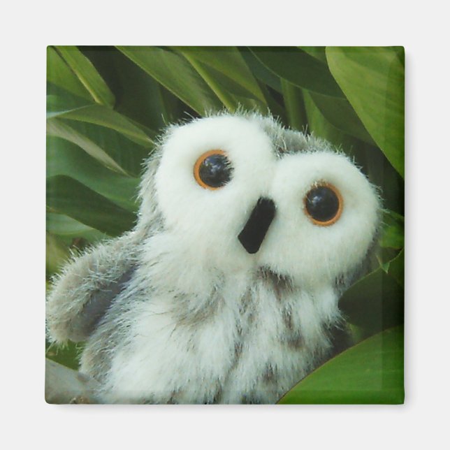 Hoot Hoot! Magnet (Framsidan)