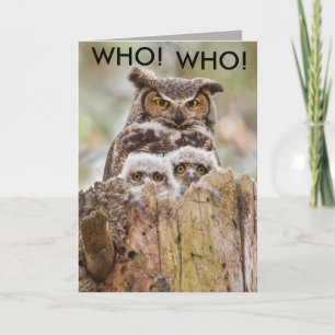 Hoot Uggla Fars dag Card Kort
