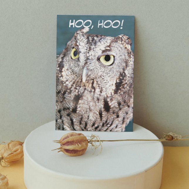 Hooting Screech Uggla Funny Birthday Kort (In Situ)