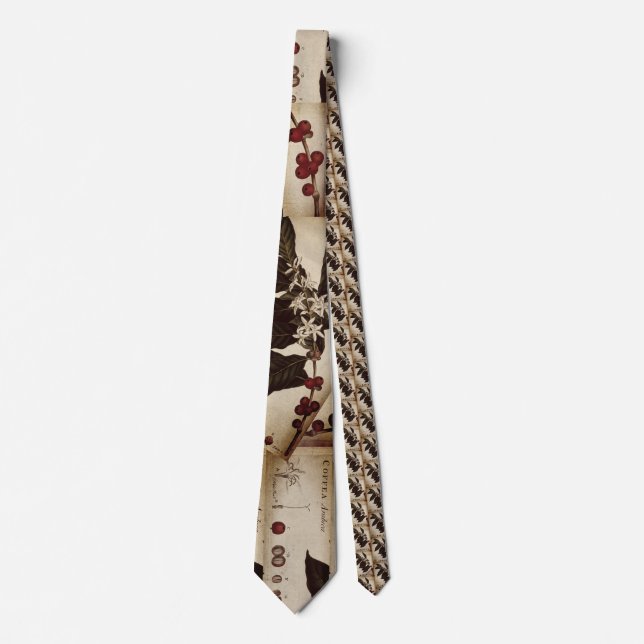 Hooton Coffee Botanical Slips (Framsida)