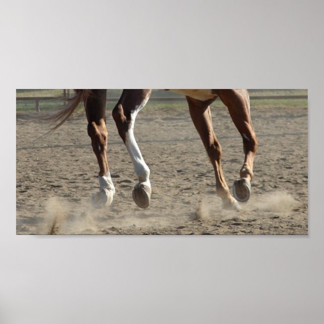 Hooves i Rörelse Poster (Framsidan)