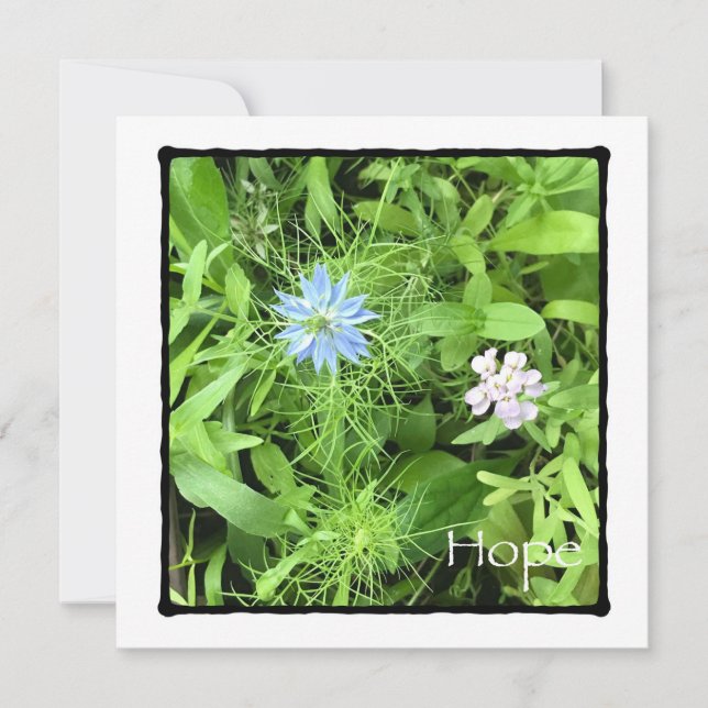 Hope 5,25 x 5,25 Square Kort (Framsida)