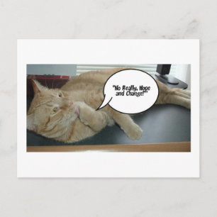 Hope and Change/Cat Humor Vykort