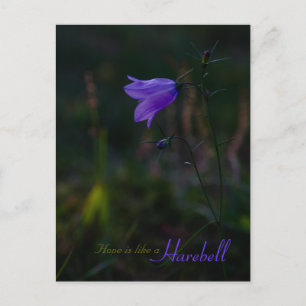 Hope är som en harebell CC0229 Vykort