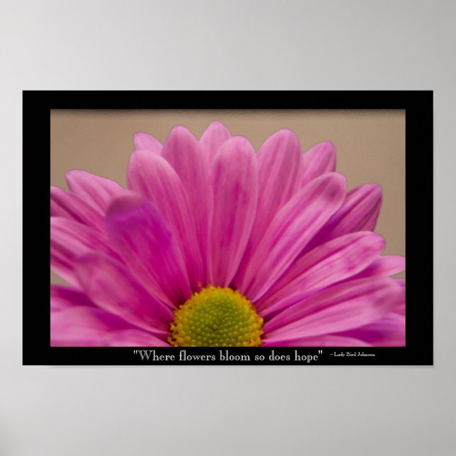 Hope Blooms Rosa Gerber Daisy Poster (Framsidan)