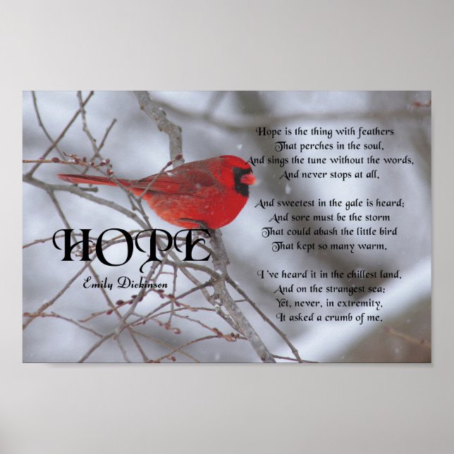 Hope, Emily Dickinson Poster (Framsidan)