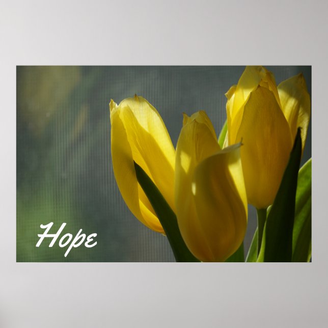 Hope - Gult Tulip Flowers Poster (Framsidan)