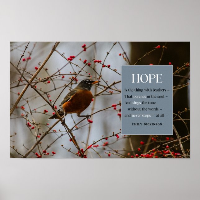 Hope Inspirational Emily Dickinson Bird Quote Poster (Framsidan)