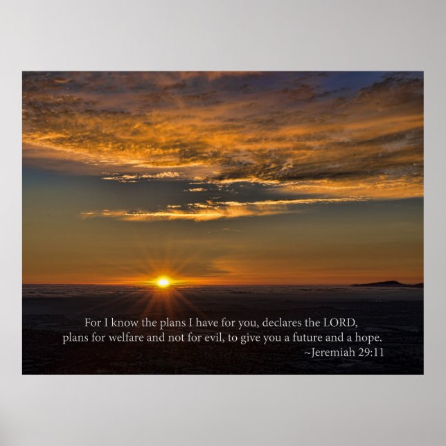 Hope - Jeremiah 29:11 Poster (Framsidan)