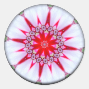 Hope Mandalas stjärna Runt Klistermärke