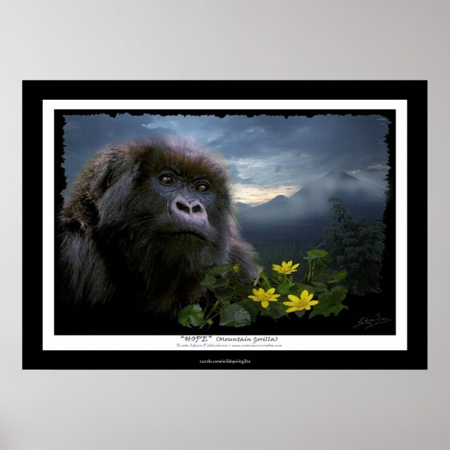 "HOPE" Mountain Gorilla Afrika Wildlife Art Poster (Framsidan)