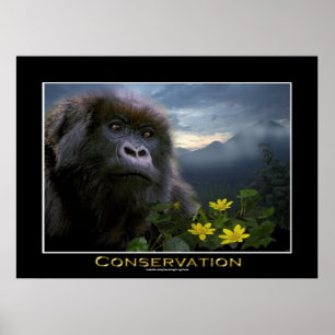 "HOPE" Mountain Gorilla Afrika Wildlife Art Poster