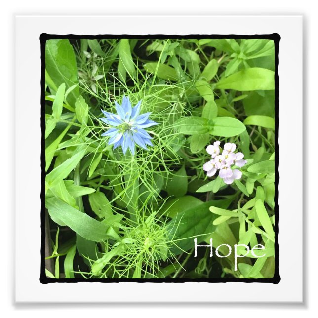 Hope Photo Print Fototryck (Framsidan)