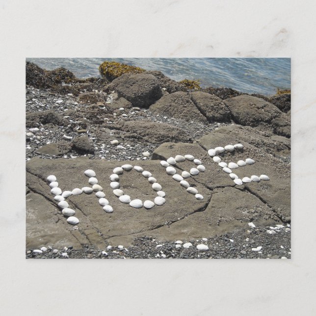 Hope Seashell Art Vykort (Framsida)