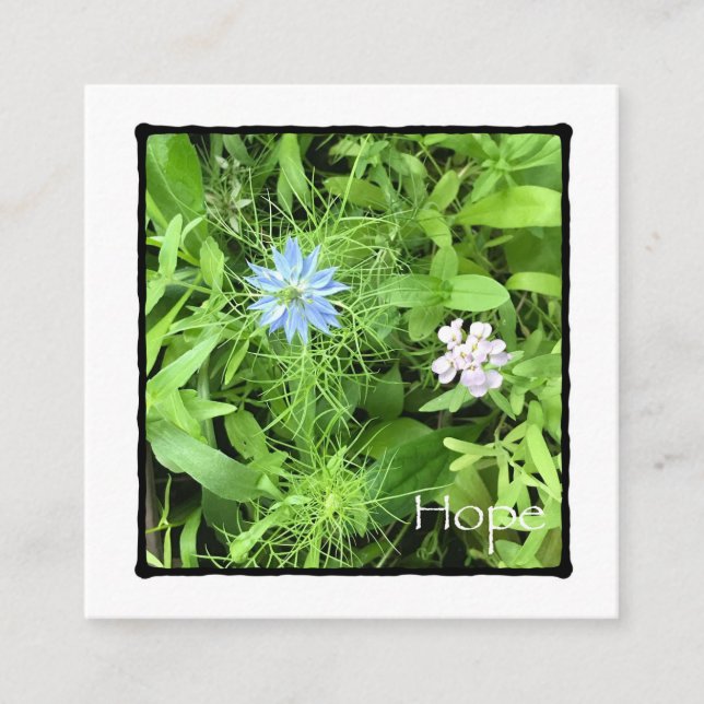 Hope Square (Framsida)