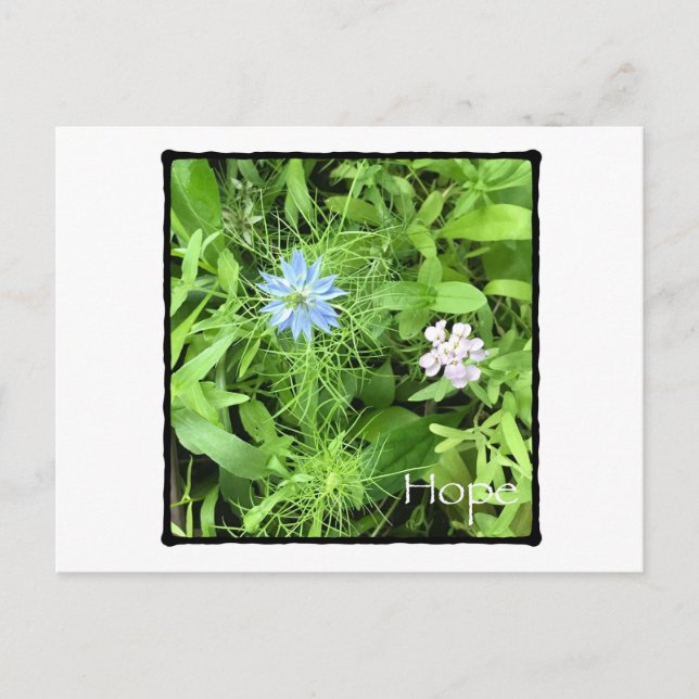 Hope Vågrät Vykort (Framsida)