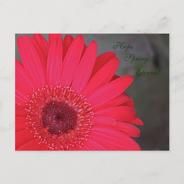 Hope Vår Einternal Postcard Vykort (Framsida)