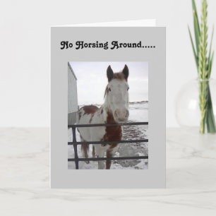 HOPEFULLY U KAN HORSE RUNT-40:e Kort