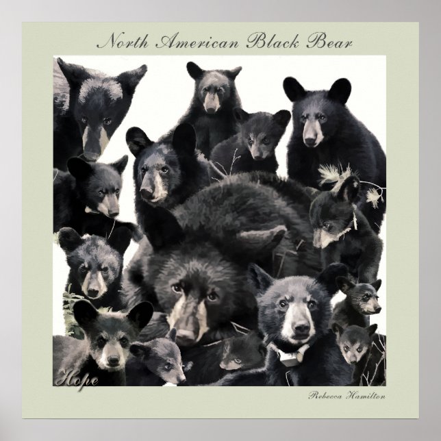 Hope's LIfe Poster (Framsidan)