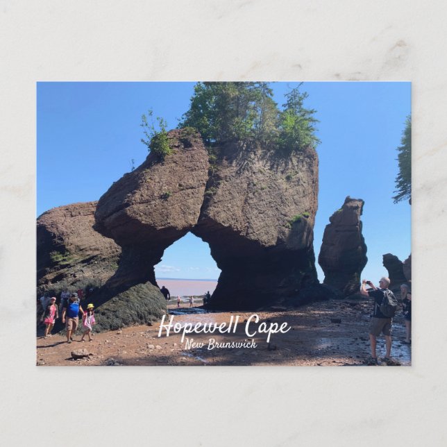 Hopewell Cape New Brunswick vykort (Framsida)