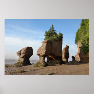 Hopewell Rocks in the sunrise Poster