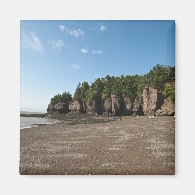 Hopewell Rocks och Ocean Tidal Exploration Magnet (Framsidan)