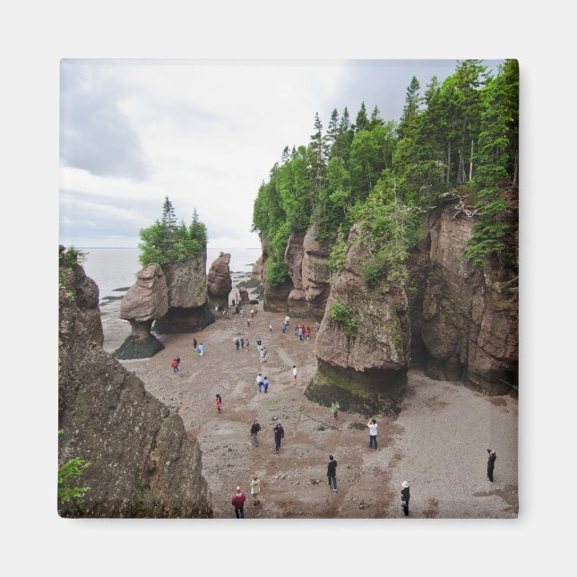 Hopewell Sten Low Tide Canada Magnet (Framsidan)