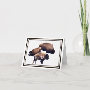 Hopfällbart hälsningkort - Bison i vinter Kort