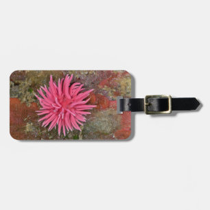 Hopkins rosa Nudibranch bagagemärkre Bagagebricka
