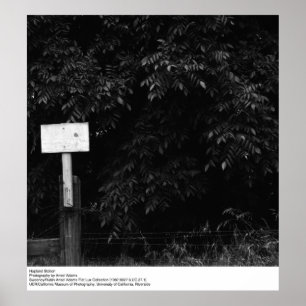 Hopland Station av Ansel Adams Poster