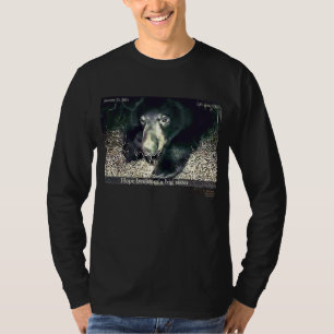 Hopp blir en storasyster! tee shirt
