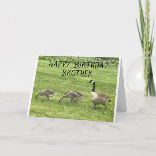 HOPP DITT BIRTHDAY ÄR BARA "DUCKY" BRODER KORT