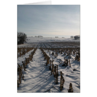 Hopp fjädrar evigt hälsningskort