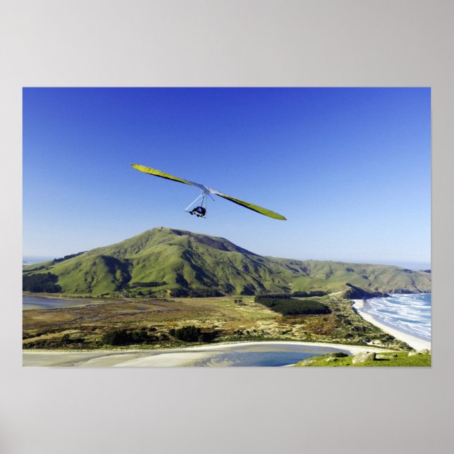 Hopp Glider, Otago Peninsula, nära Dunedin. Poster (Framsidan)
