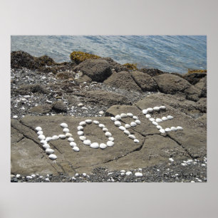 Hopp - Snigelhuskonst på stranden Poster