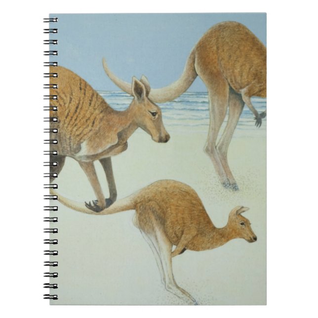 Hoppa framåt anteckningsbok med spiral (Framsidan)