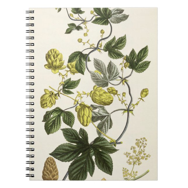 Hoppa vinen, från "den unga landsmanen" som anteckningsbok med spiral (Framsidan)