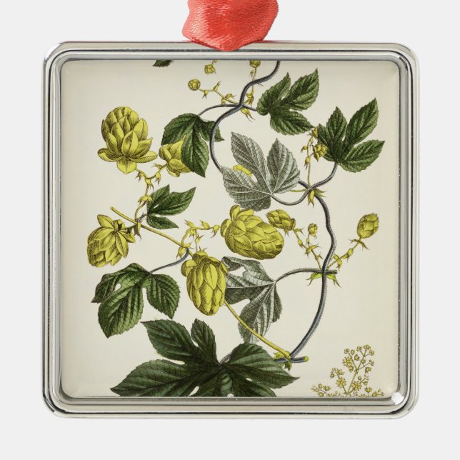 Hoppa vinen, från "den unga landsmanen" som julgransprydnad metall (Framsidan)