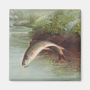 Hoppande bäcköring av S.A. Kilbourne Vintage Fish Magnet