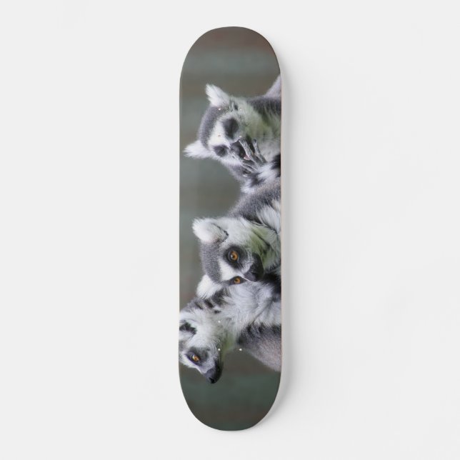 HOPPANDE LEMURER MINI SKATEBOARD BRÄDA 18,7 CM (Framsida)