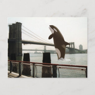 Hoppande över Brooklyn Bridge vykort