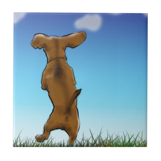 Hoppar över Doxie Kakelplatta (Framsidan)