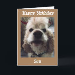 HOPPAS ATT DETTA ÄR DEN BÄSTA BIRTHDAY NÅGON SON KORT<br><div class="desc">TACK FÖR ATT VI STOPPADE AV ETT AV MINA ÅTTA STOPPAR!!!!!!</div>
