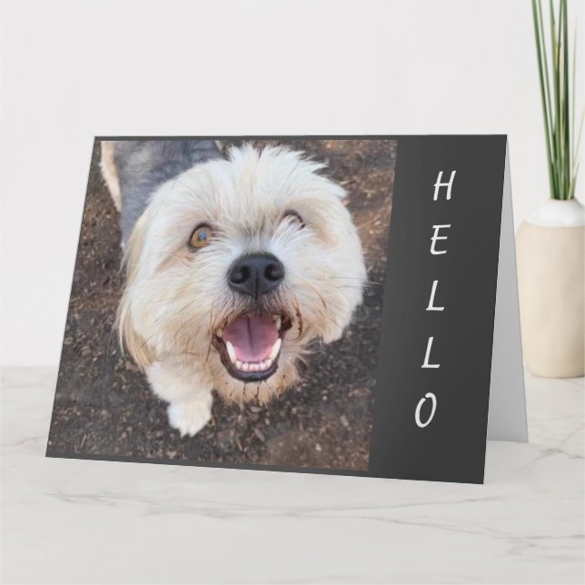 HOPPAS ATT DIN BIRTHDAY ÄR DEN "BÄSTA" EN GÅNG KORT (Framsida)