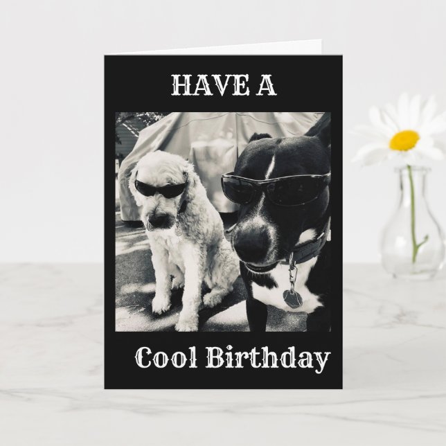 HOPPAS ATT DIN BIRTHDAY ÄR DEN "COOLEST" SOM NÅGON KORT (Liten växt)